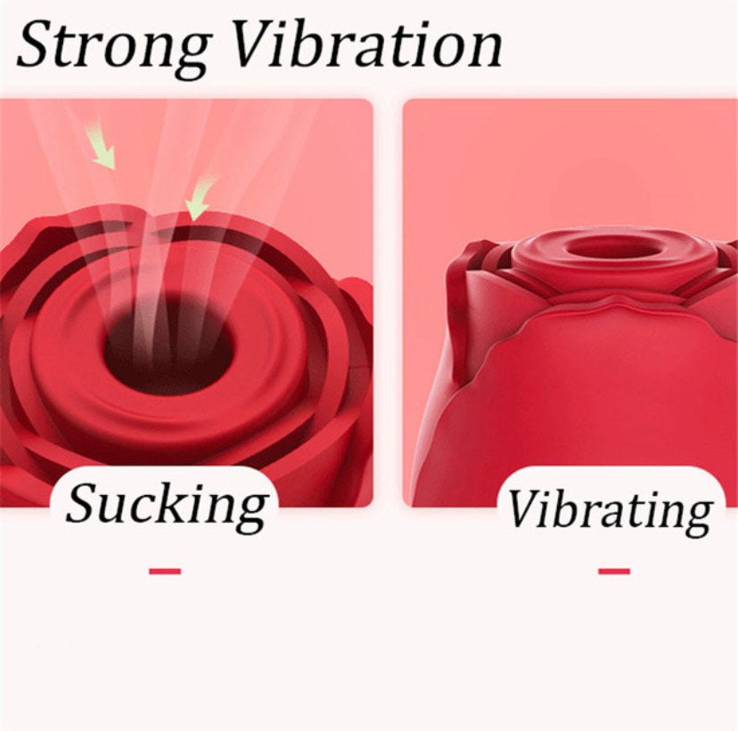 Rose Sensation – Sensual SeduXion